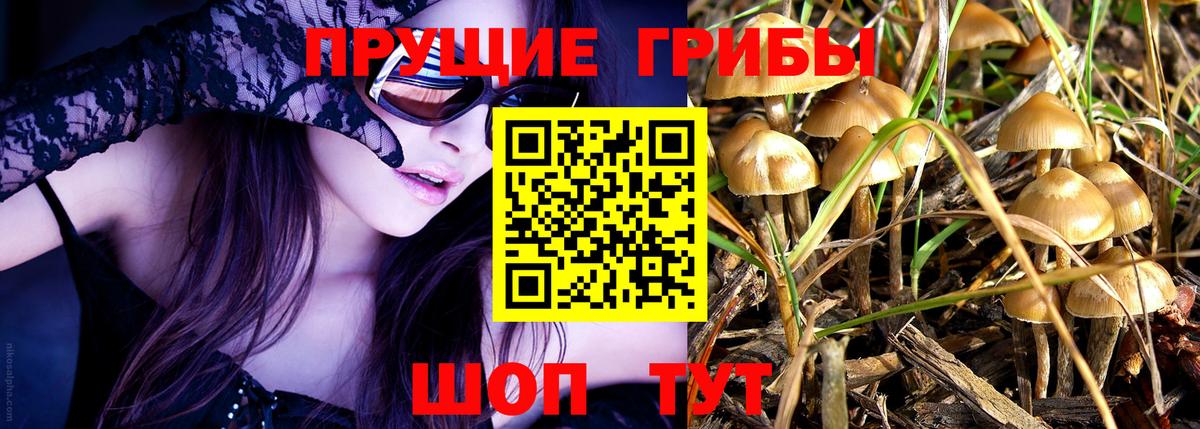 Псилоцибиновые грибы прущие грибы Сибай